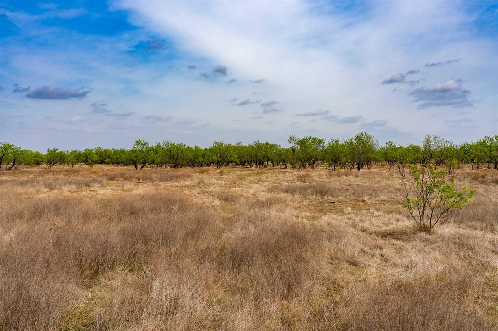 Tbd Rockdale Road Lueders, TX 79533 - Photo 21 of 40