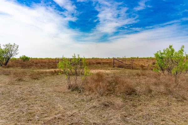 a view of a road with a yard