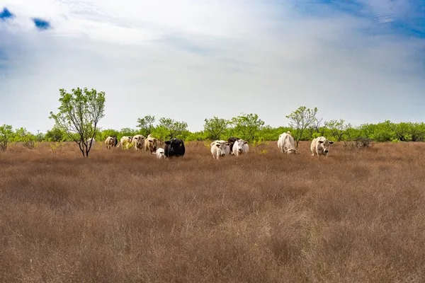 a view of mountain with lake view