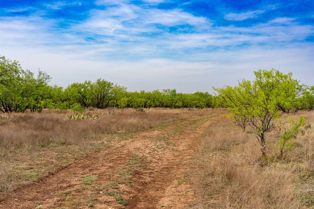 Tbd Rockdale Road Lueders, TX 79533 - Photo 28 of 40 a view of mountain with lake view