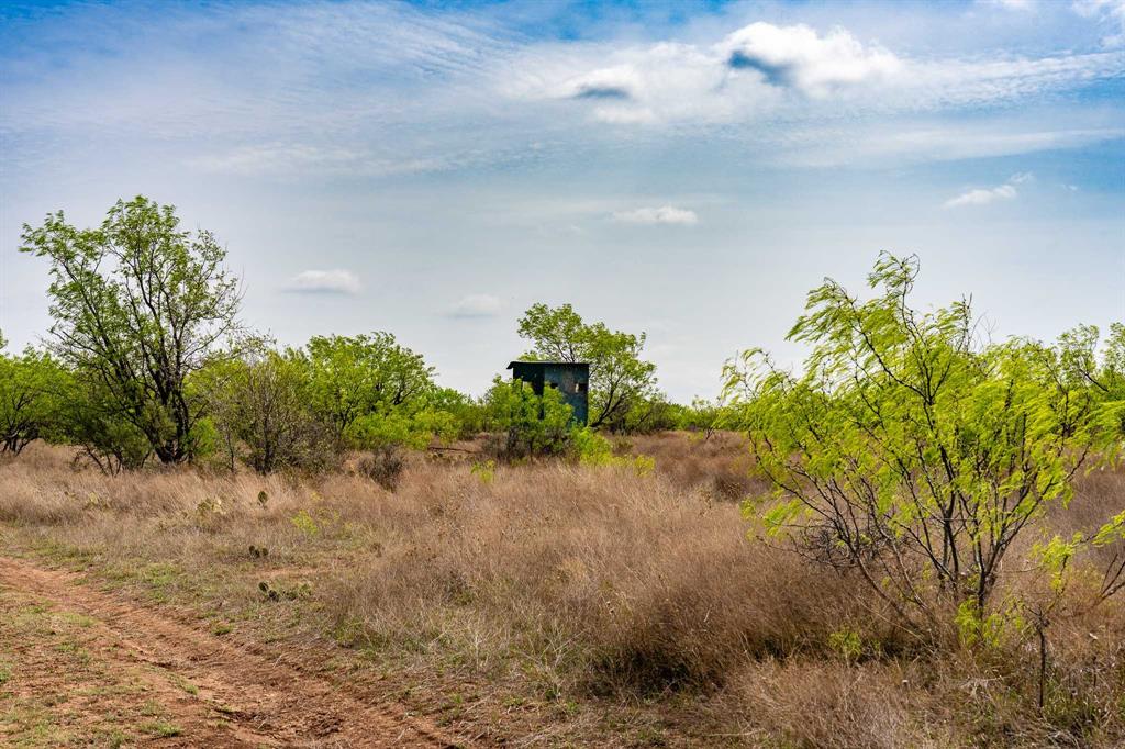 Tbd Rockdale Road Lueders, TX 79533 - Photo 29 of 40 a backyard of a house
