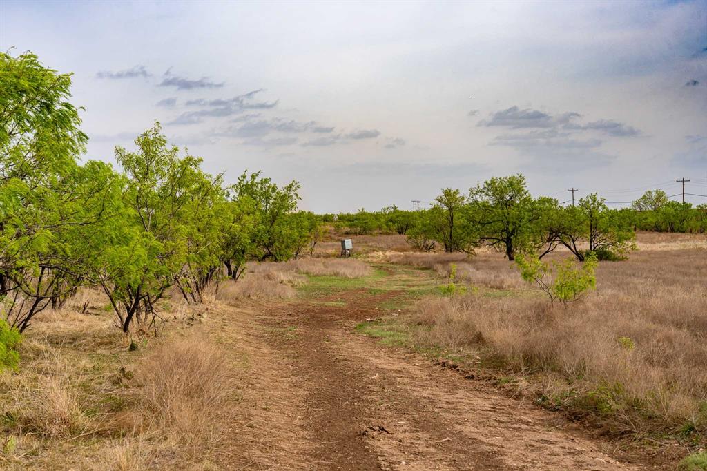 Tbd Rockdale Road Lueders, TX 79533 - Photo 7 of 40 a view of a yard with an trees