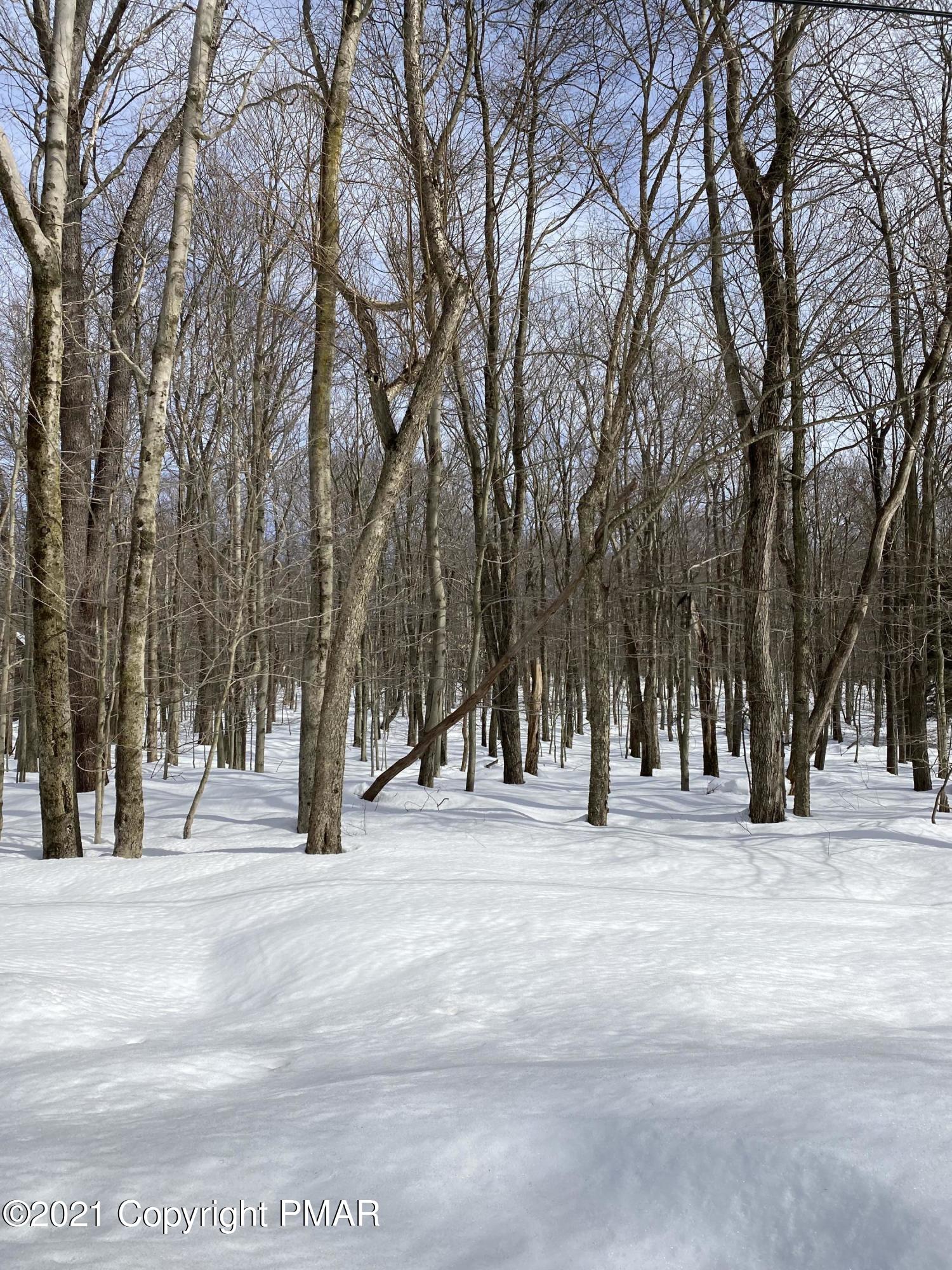 Lot 676 Raccoon Court Bushkill, PA 18324 - Photo 1 of 1 IMG_1054