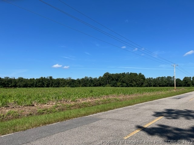 Graham Road Raeford, NC 28376 - Photo 1 of 1 Gallery Image 1