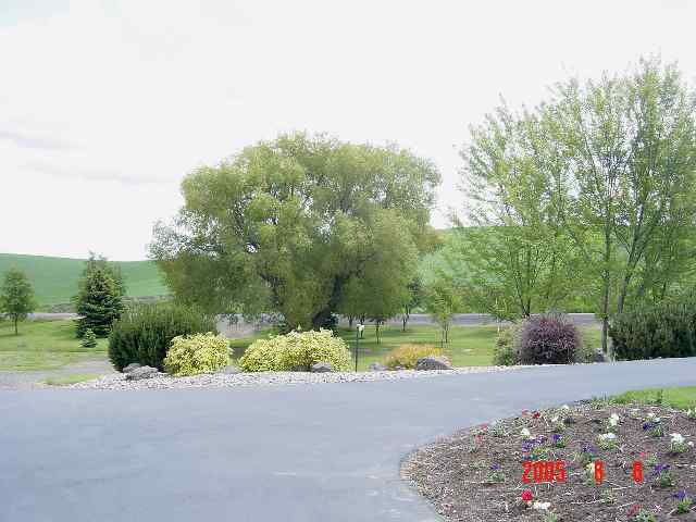 47001 Highway 27 Tekoa, WA 99033 - Photo 2 of 9