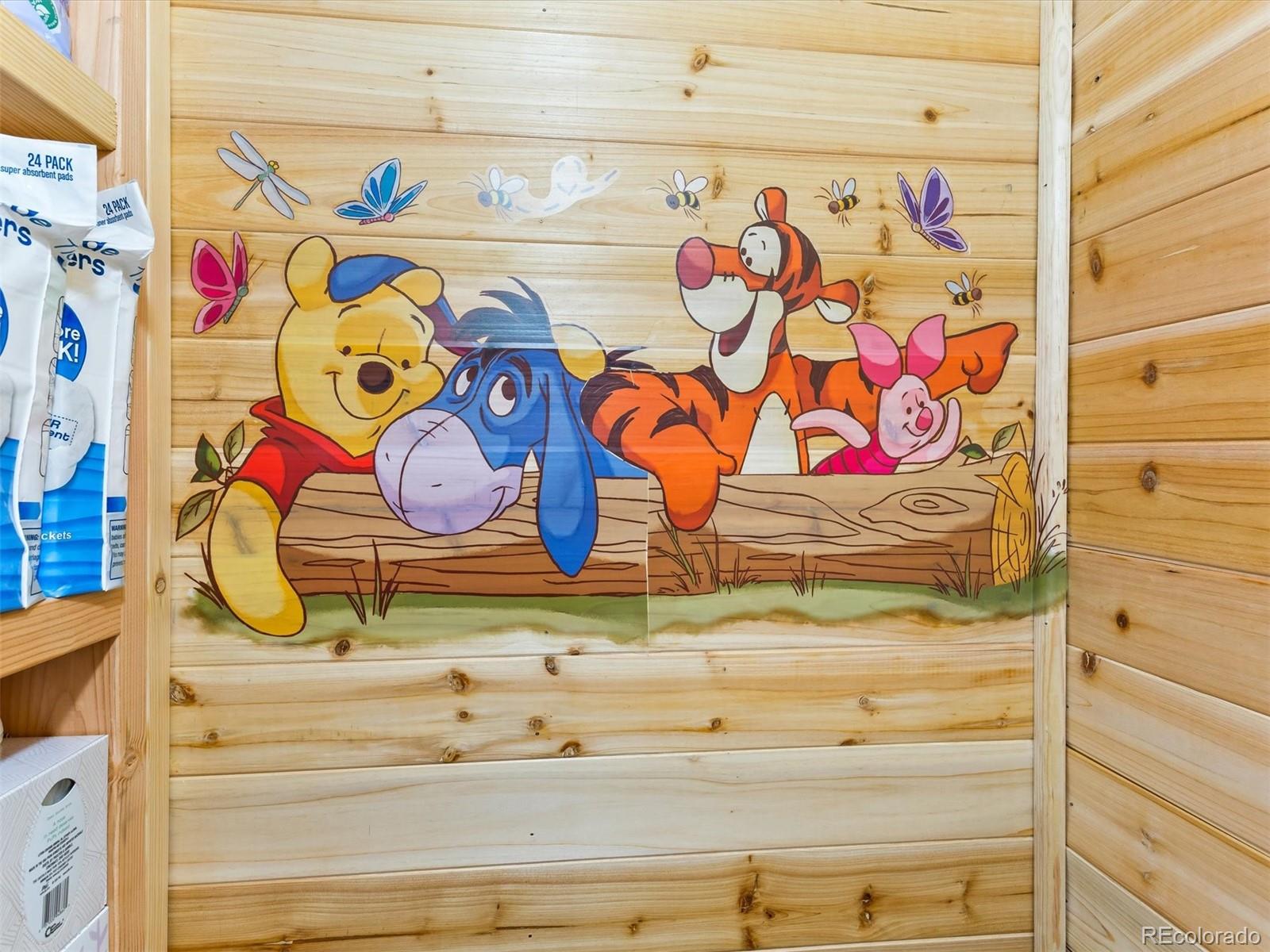 P69 P 69 Bailey, CO 80421 - Photo 15 of 22