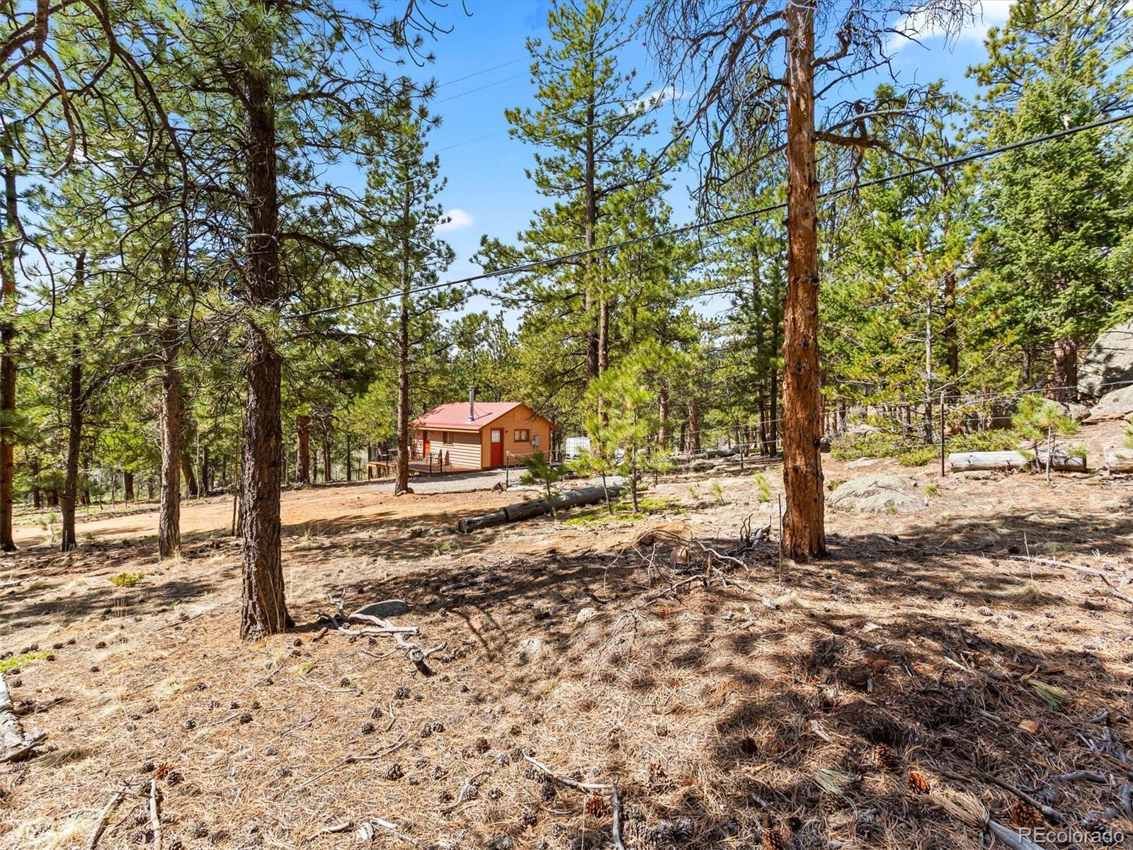 P69 P 69 Bailey, CO 80421 - Photo 20 of 22 a tree in the middle of a yard