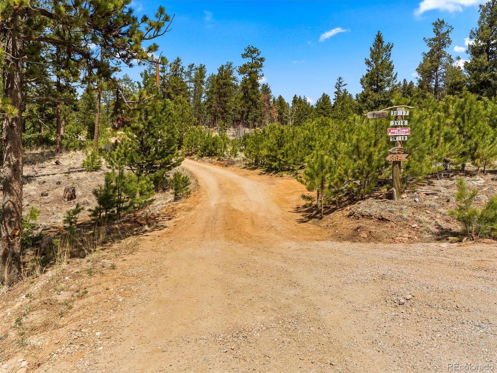P69 P 69 Bailey, CO 80421 - Photo 2 of 22 a view of a yard covered with snow in outdoor space