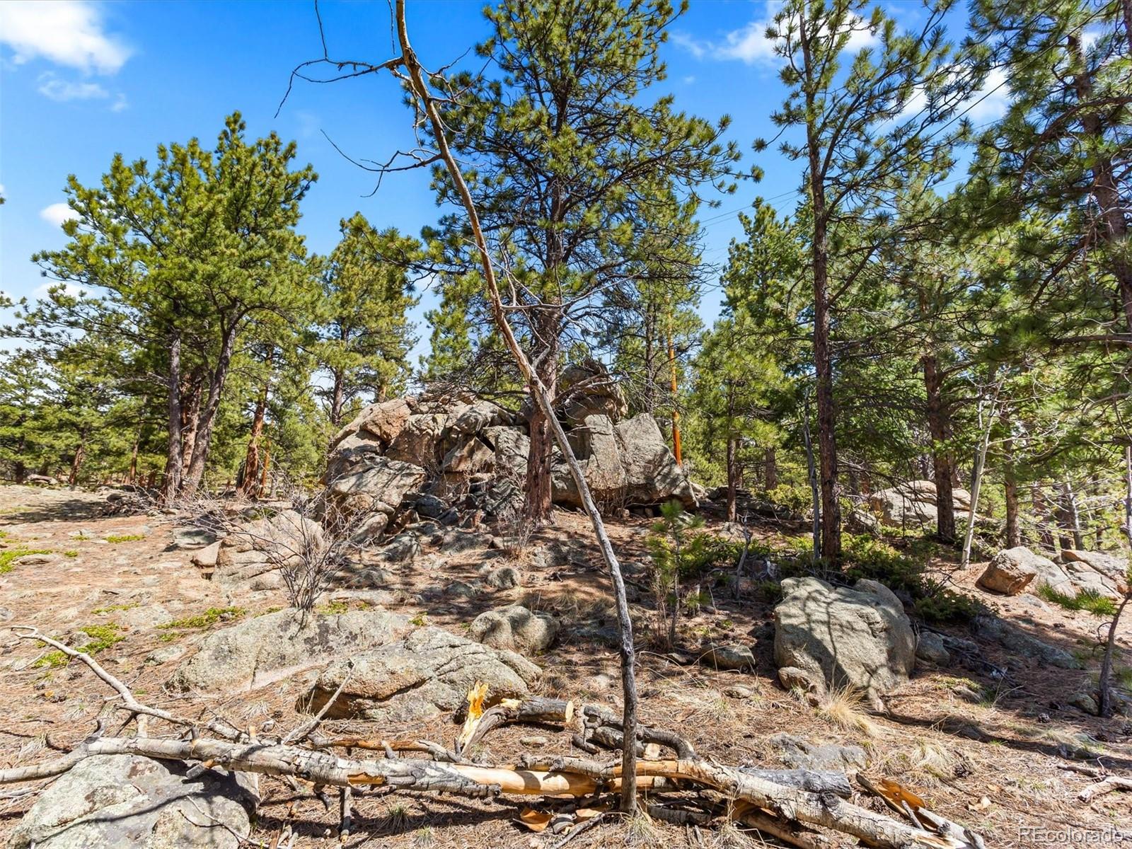 P69 P 69 Bailey, CO 80421 - Photo 21 of 22 a view of a yard with a tree