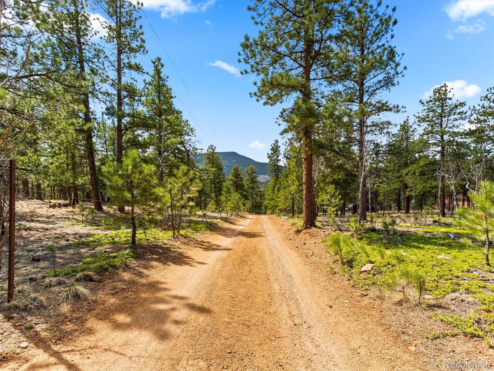 P69 P 69 Bailey, CO 80421 - Photo 22 of 22 a view of yard with trees