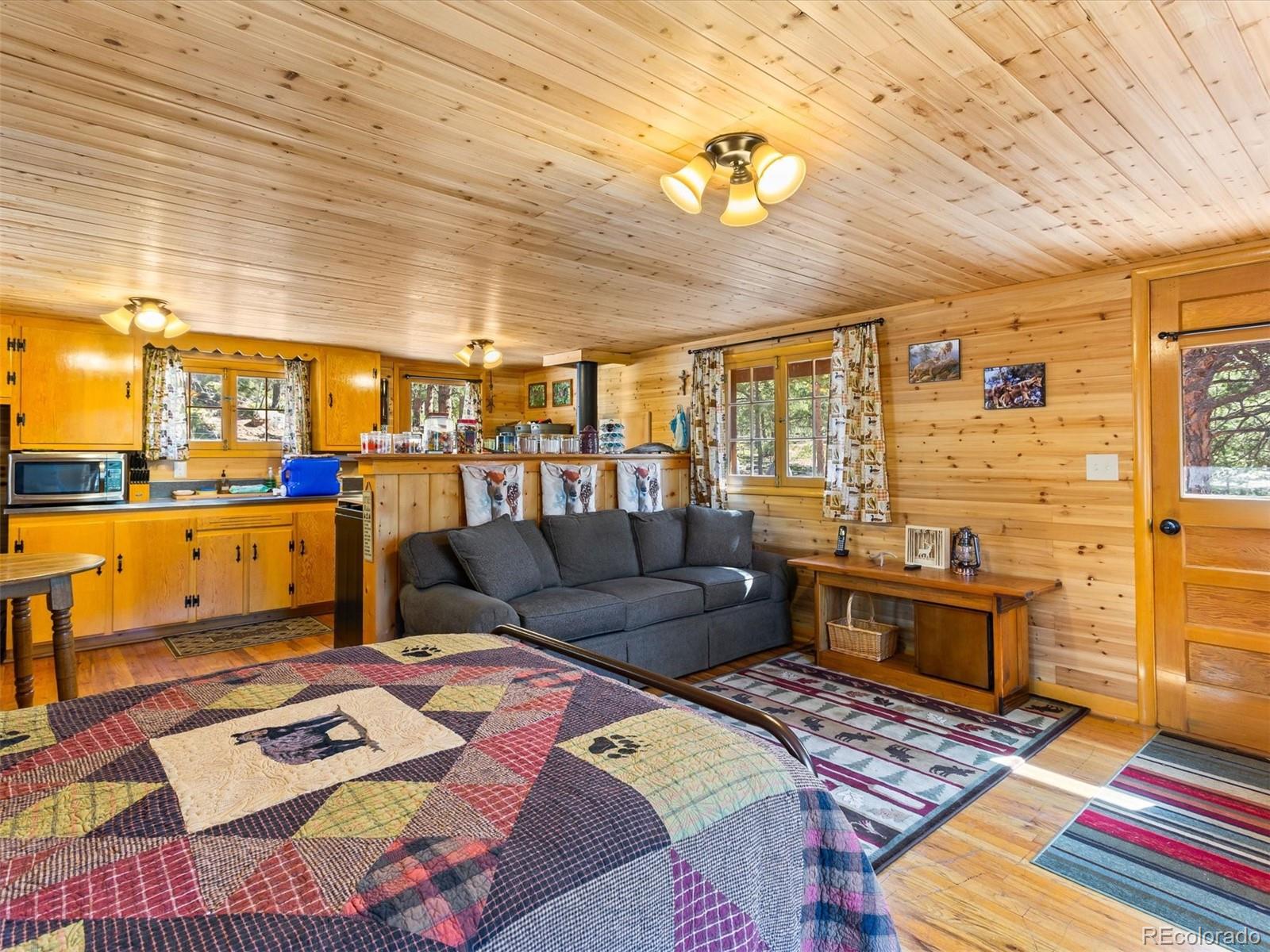 P69 P 69 Bailey, CO 80421 - Photo 8 of 22 a living room filled with furniture and a rug
