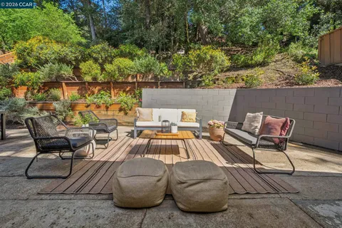 a view of a patio with couches and a potted plant on a table