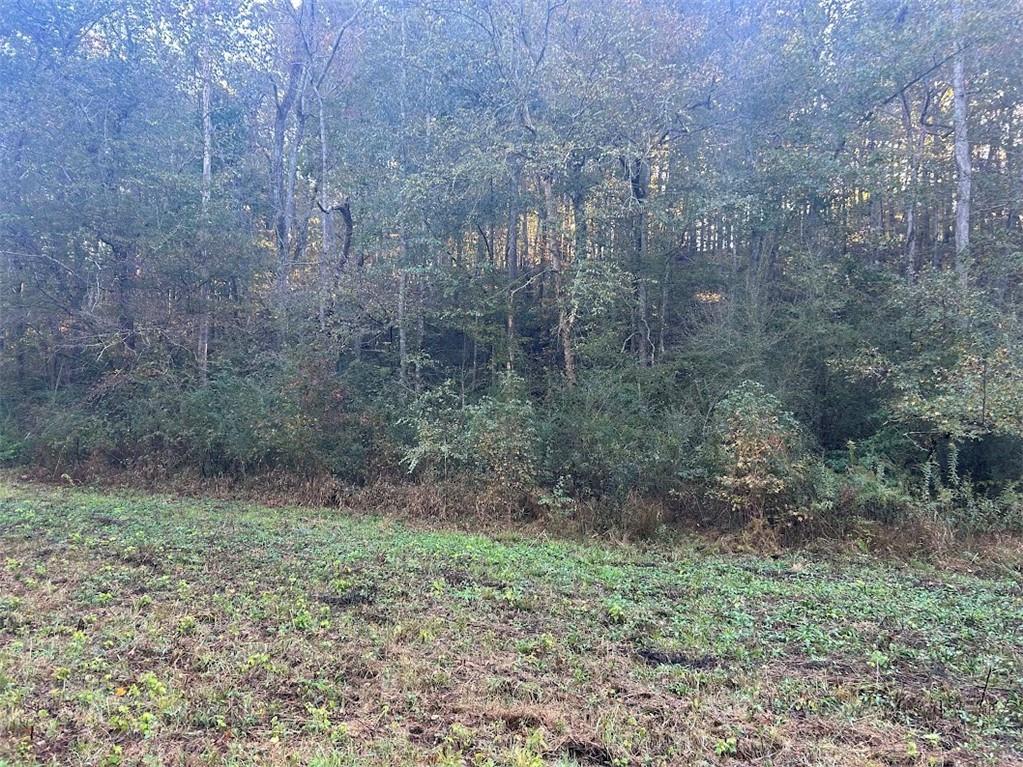 0 Old Columbus Road Bowdon, GA 30108 - Photo 15 of 26