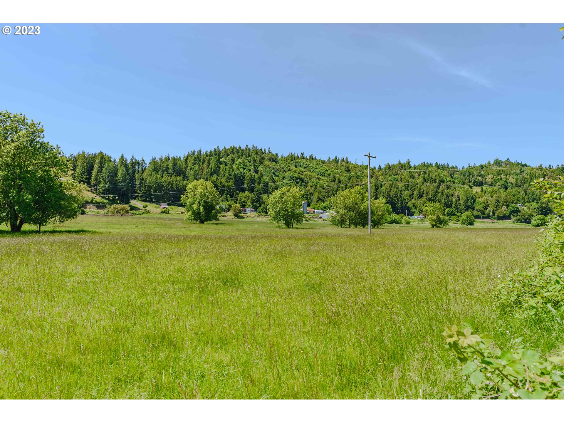 54156 Old Broadbent Road Myrtle Point, OR 97458 - Photo 40 of 48 a view of a field with an ocean