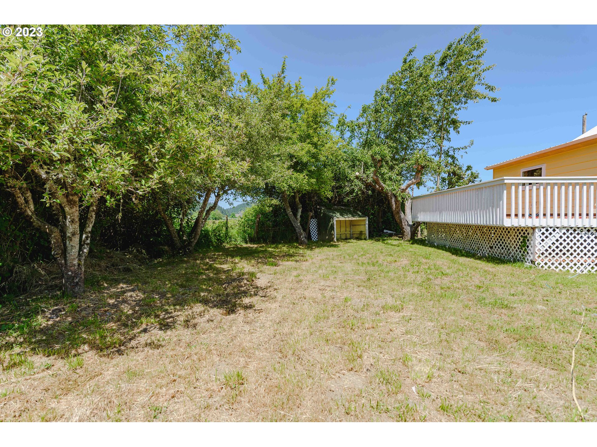 54156 Old Broadbent Road Myrtle Point, OR 97458 - Photo 45 of 48 a backyard of a house