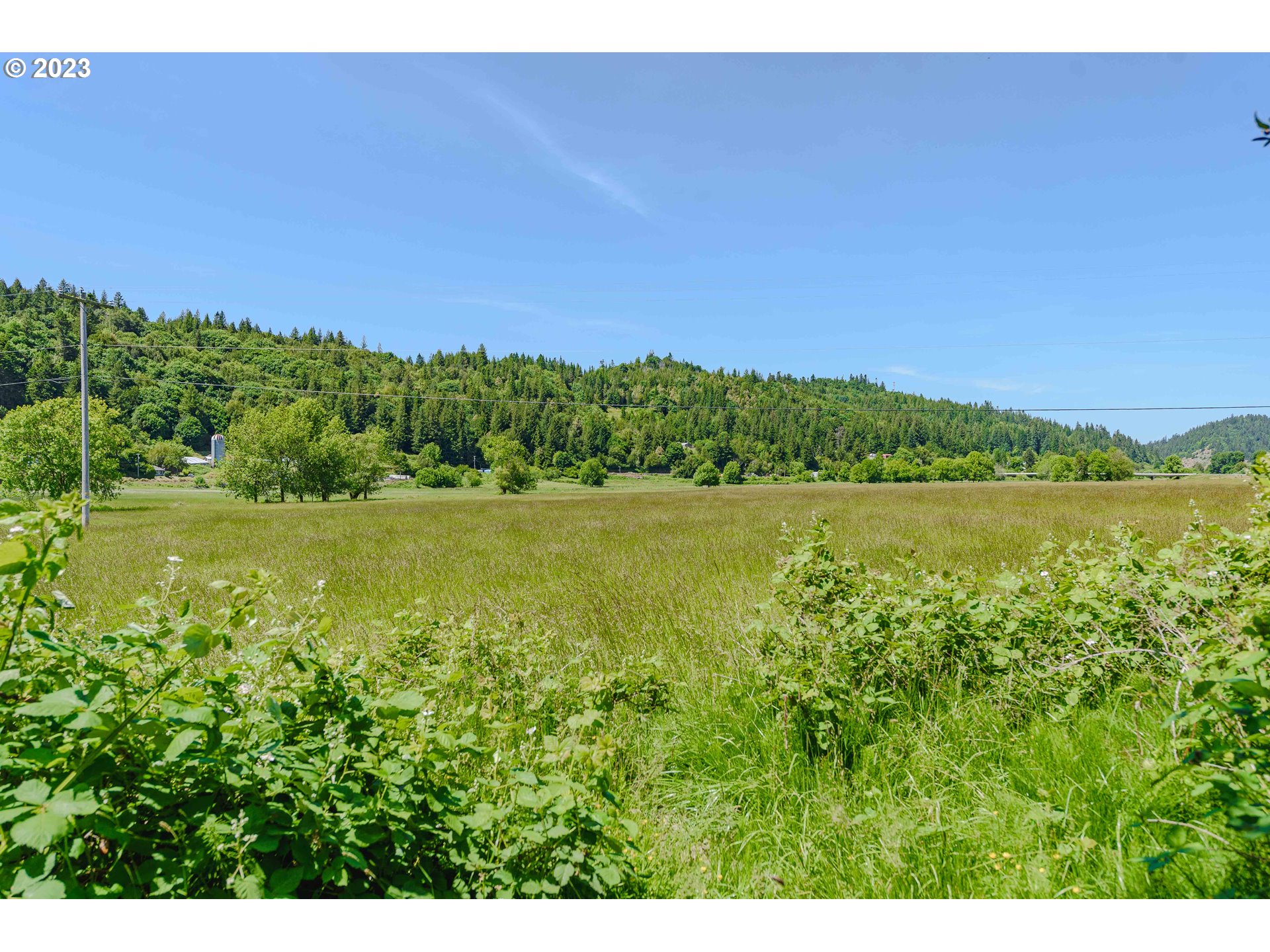 54156 Old Broadbent Road Myrtle Point, OR 97458 - Photo 46 of 48 a view of a lake with a yard