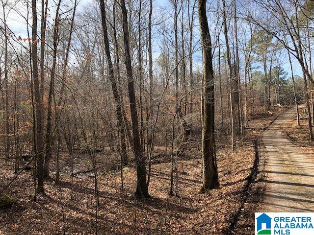1919 Mt Gilead Road, Unit 9 21 Jacksonville, AL 36265 - Photo 4 of 39