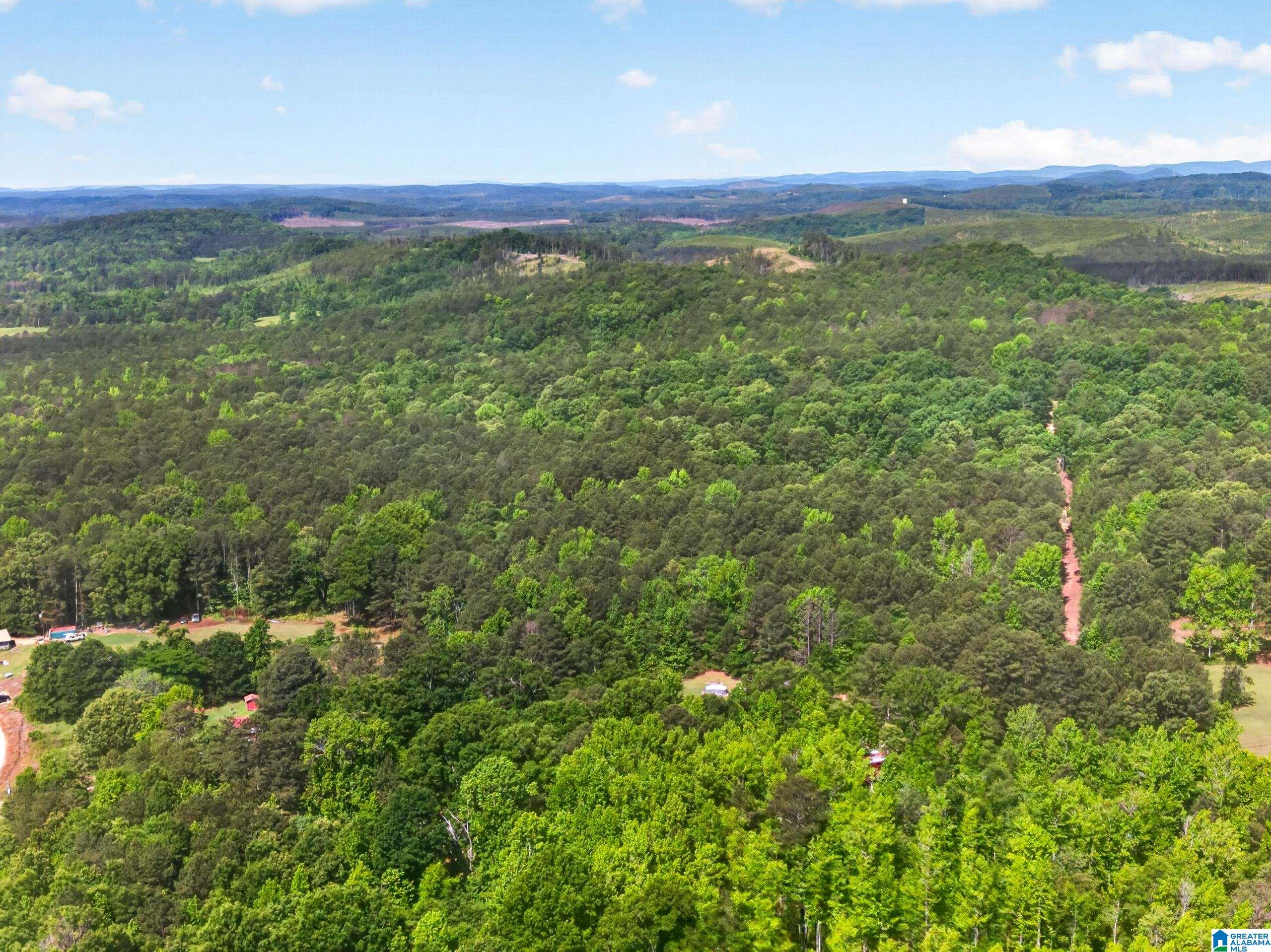 0 Pruitt Road Piedmont, AL 36272 - Photo 7 of 13