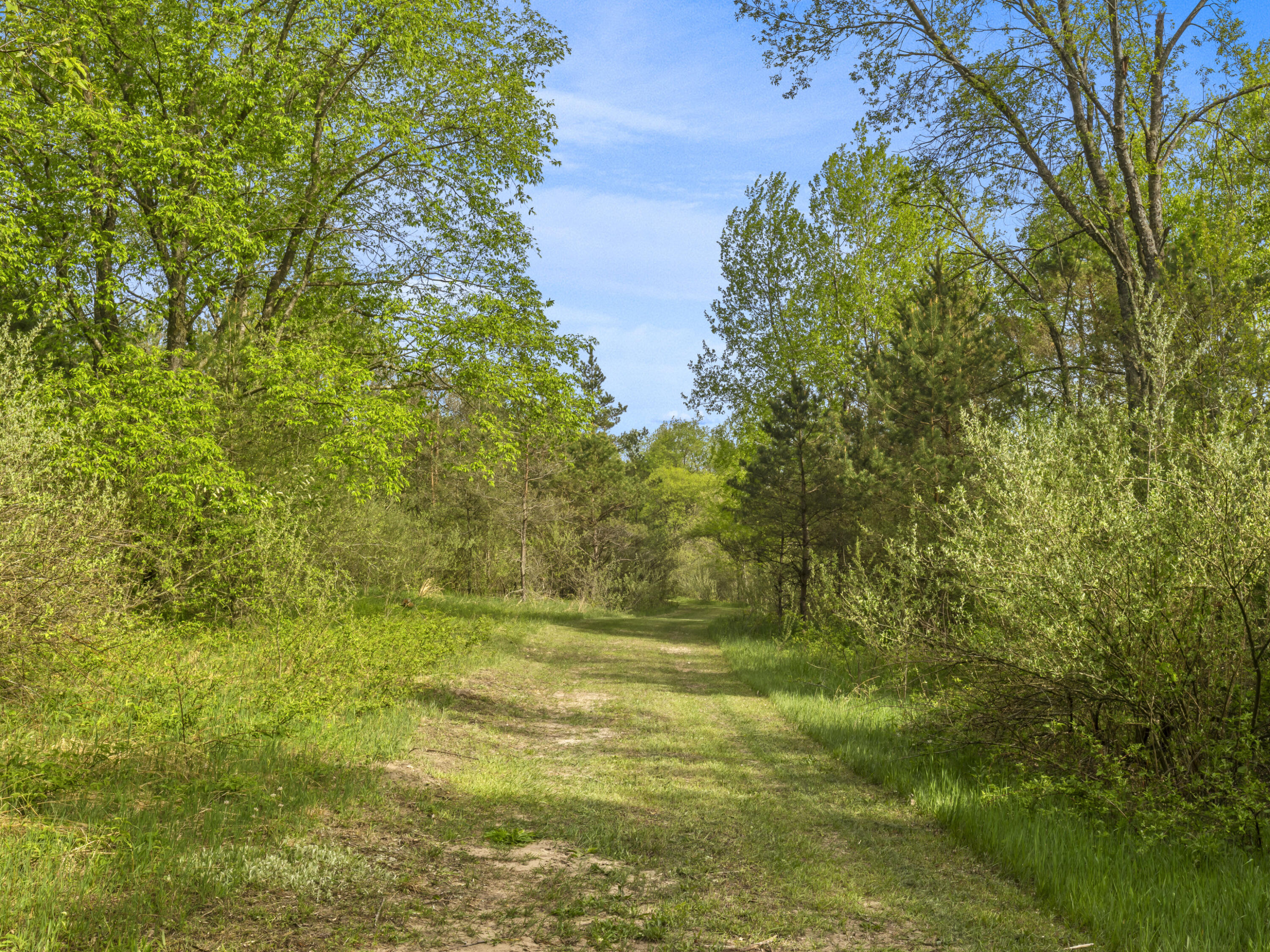 0 Dzuibanek Road Thompsonville, MI 49683 - Photo 3 of 21 0S5A8059