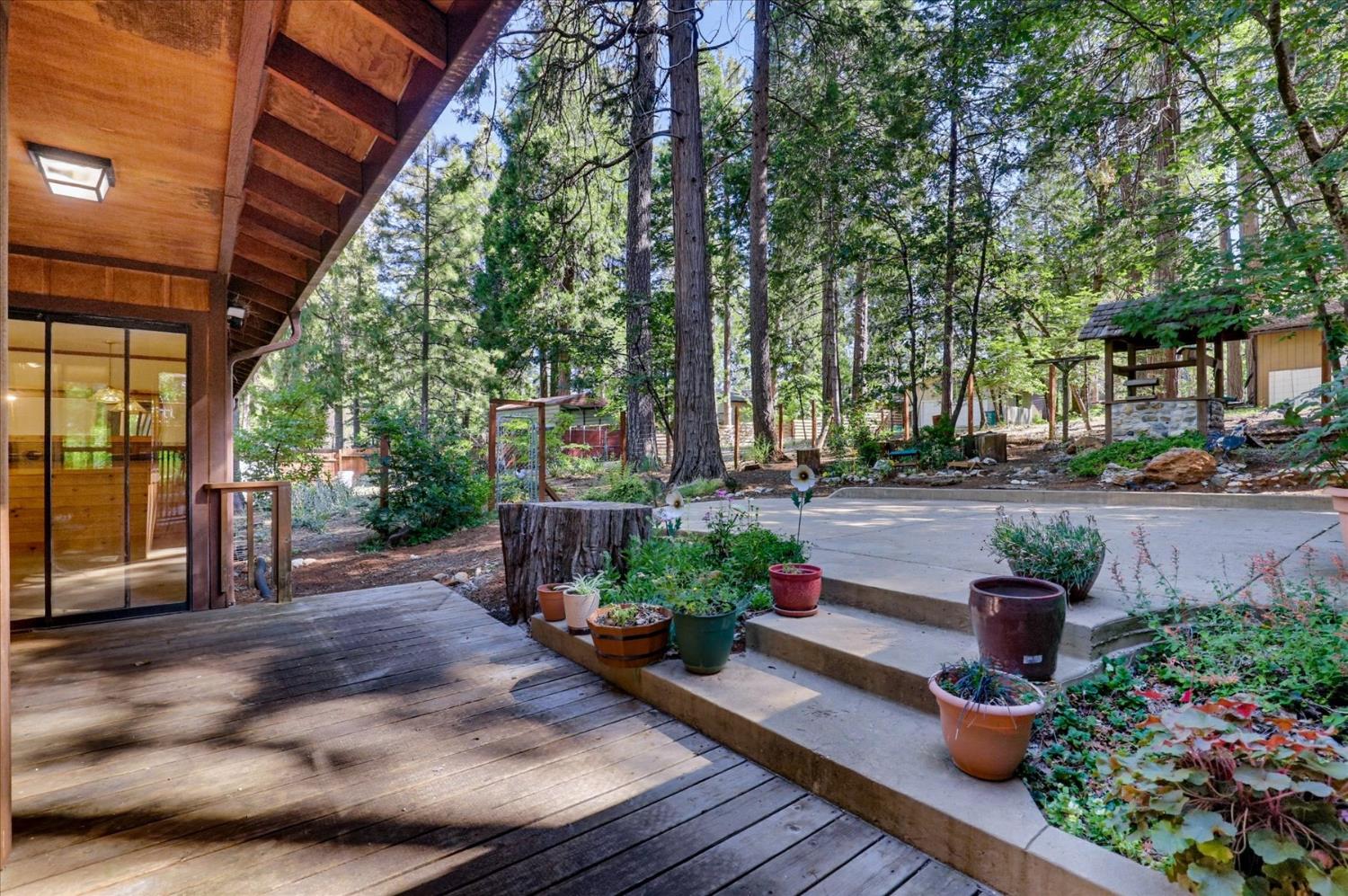 12692 Red Dog Road Nevada City, CA 95959 - Photo 36 of 43