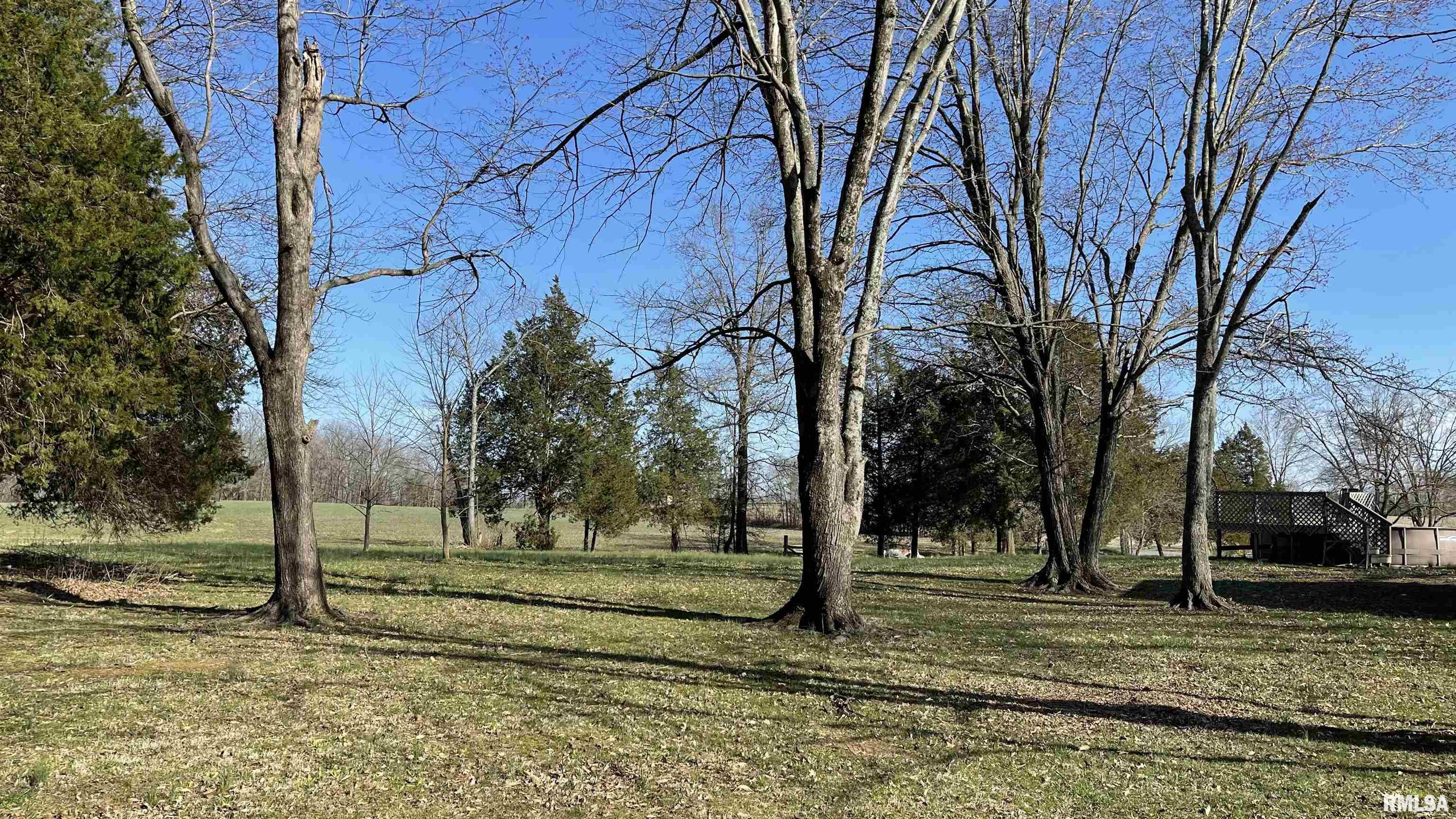 16953 New Dennison Road Marion, IL 62959 - Photo 8 of 48 Gallery Image 8