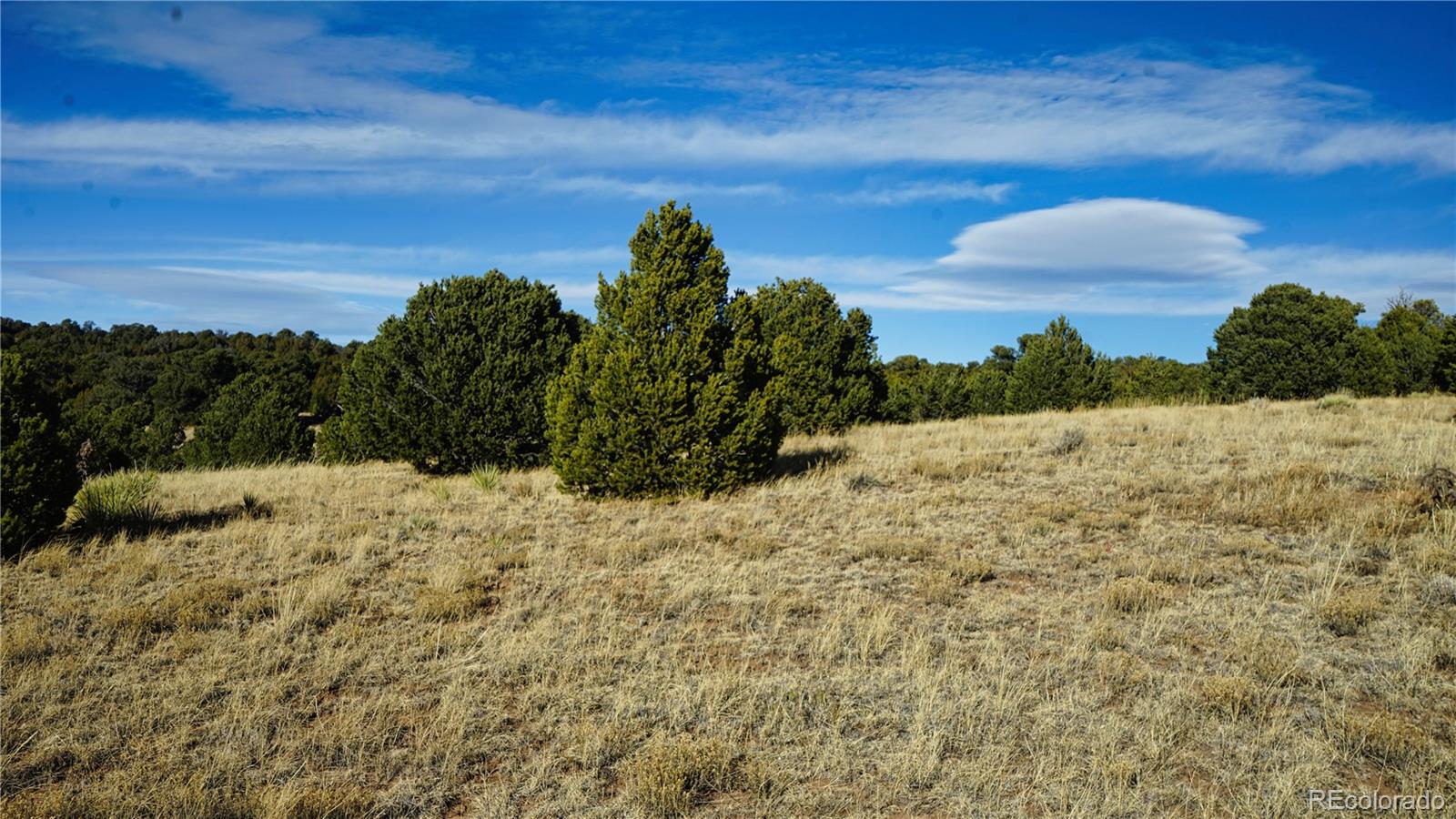 37 Navajo Ranch, Unit 4 Walsenburg, CO 81089 - Photo 15 of 20