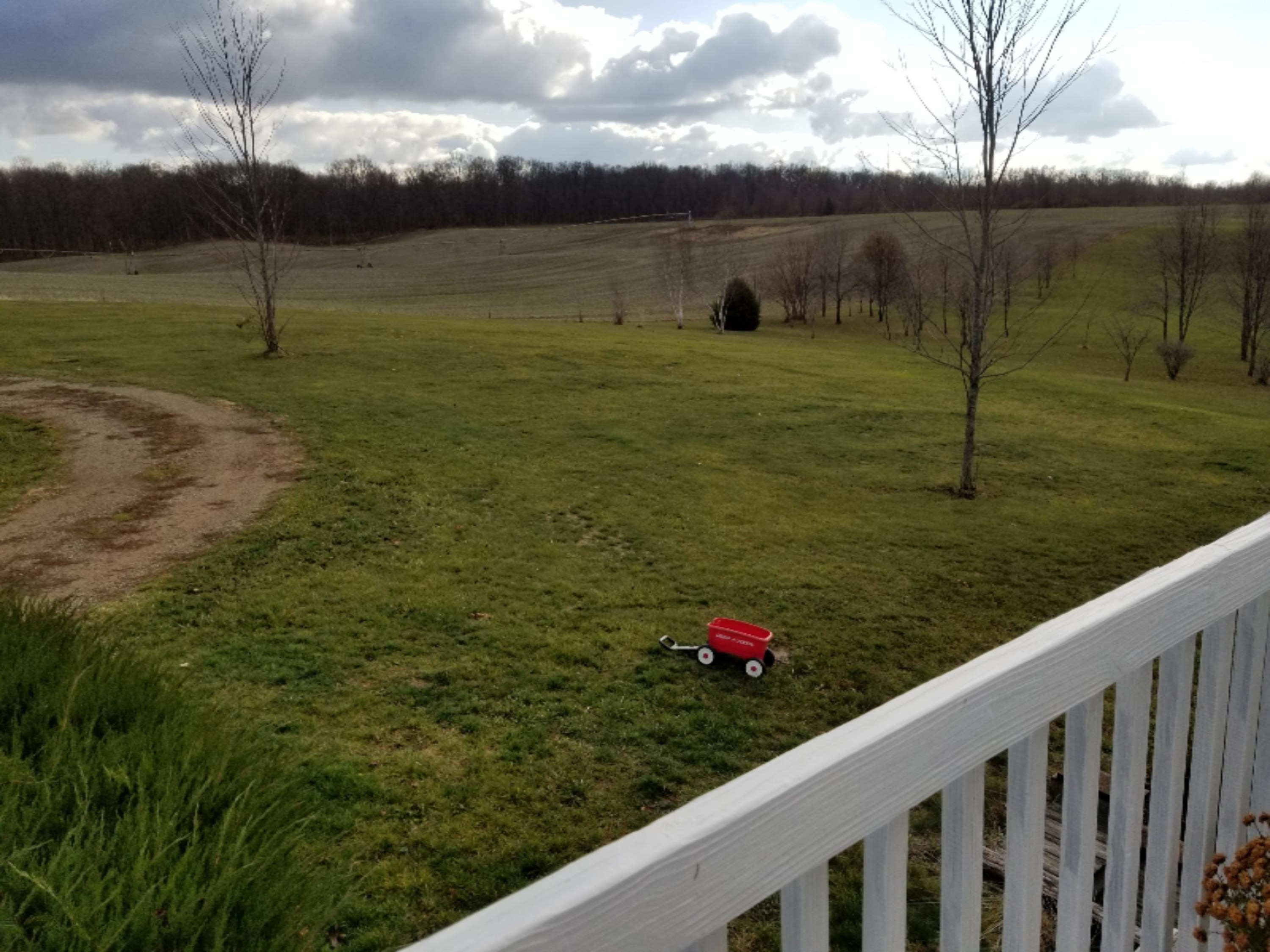61689 Roberts Road Three Rivers, MI 49093 - Photo 16 of 23 20201123_105146