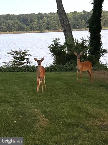 $1,150,000 | 23393 Cacaway Farm Lane, Chestertown, MD 21620