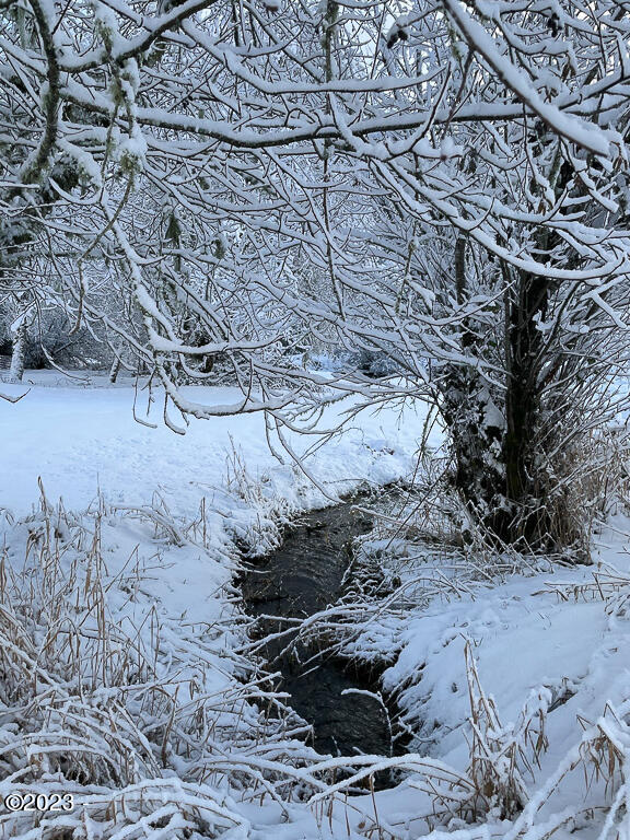 12319 Logsden Road Blodgett, OR 97326 - Photo 71 of 78 Creek in Winter