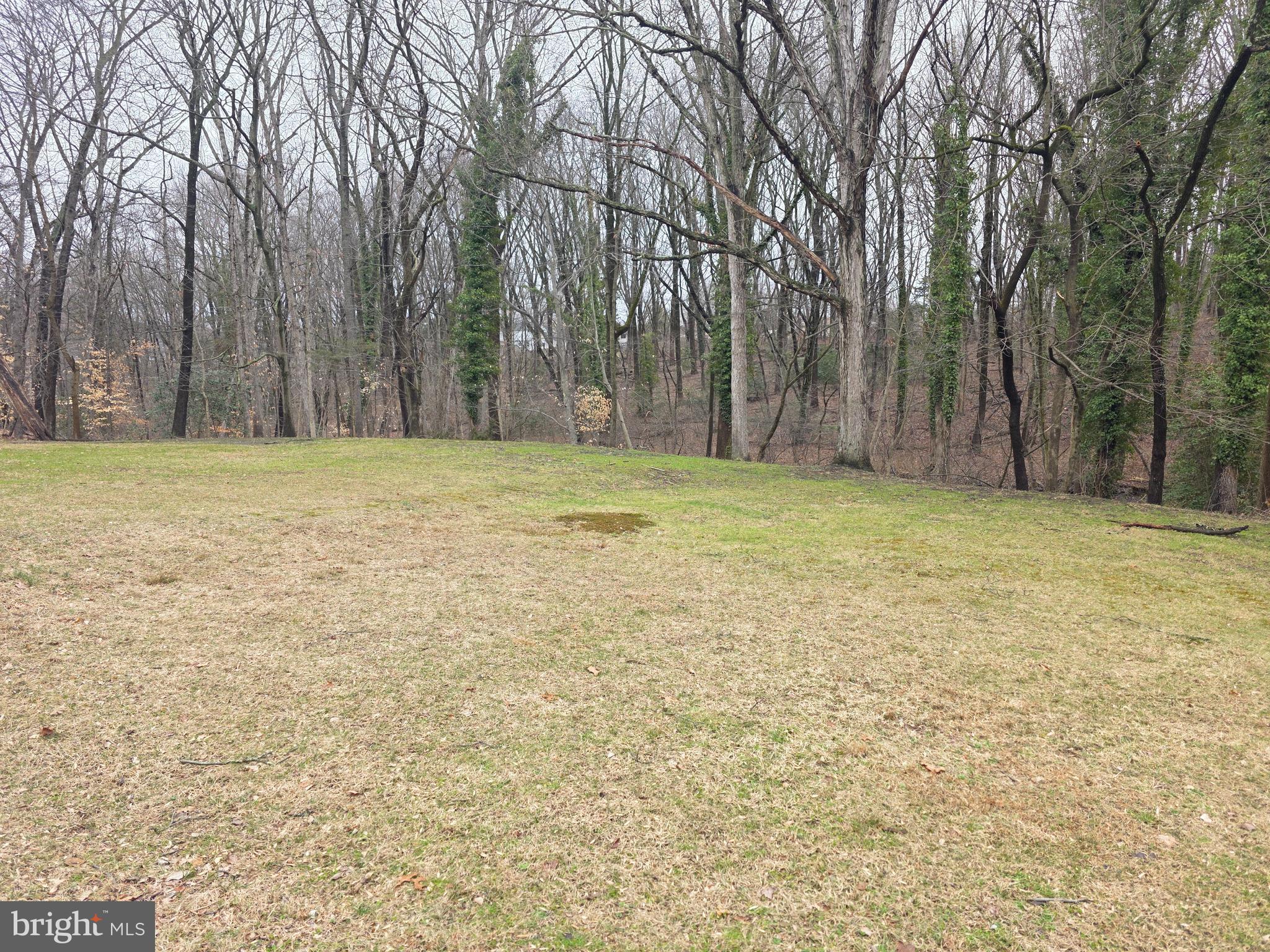 3016 County House Road Woodbury, NJ 08096 - Photo 5 of 19