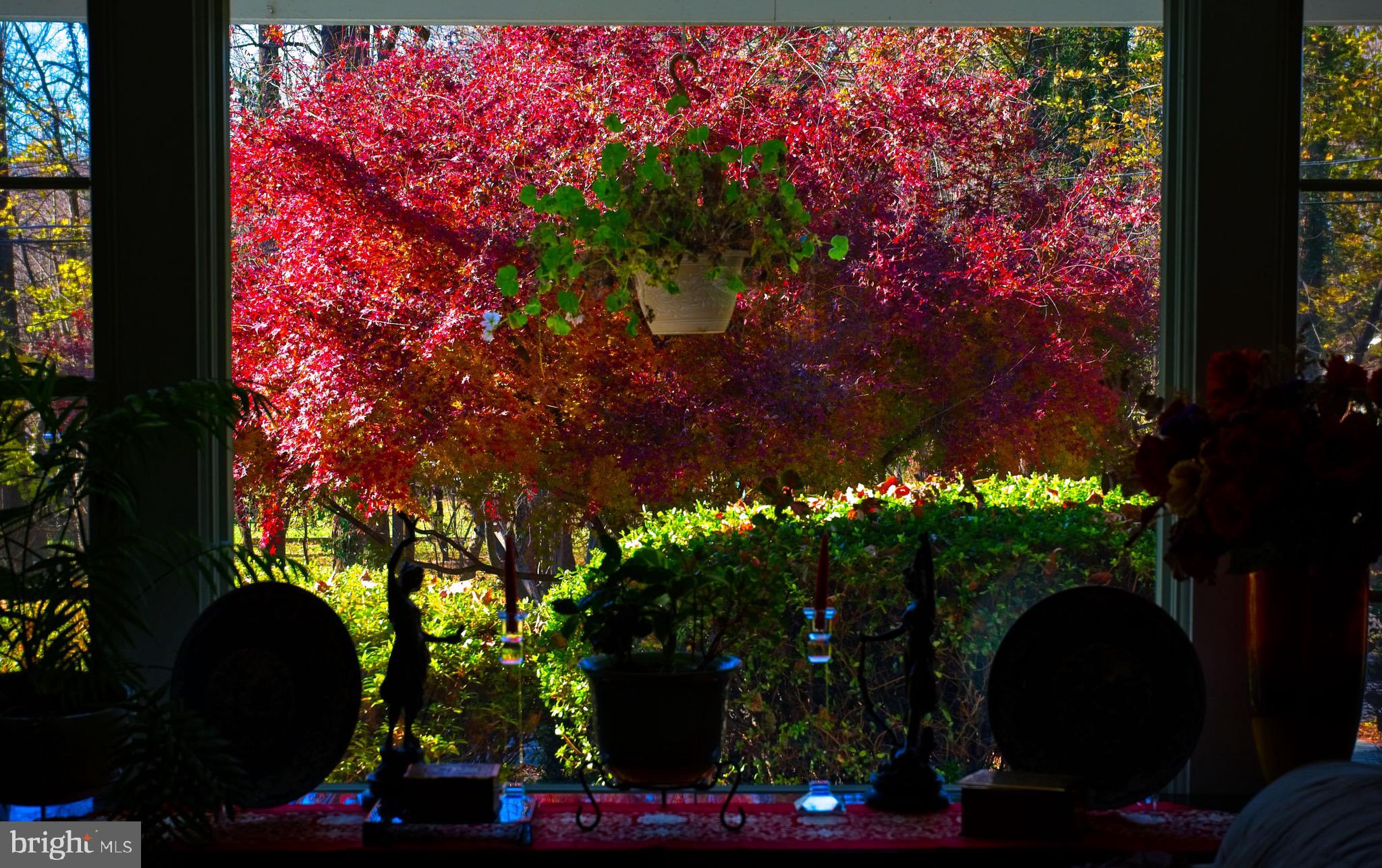 10405 Gary Road Potomac, MD 20854 - Photo 45 of 66