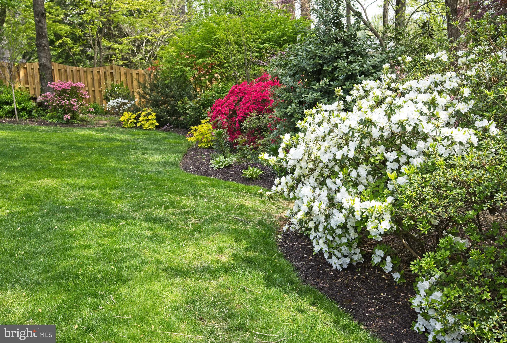 10405 Gary Road Potomac, MD 20854 - Photo 61 of 66