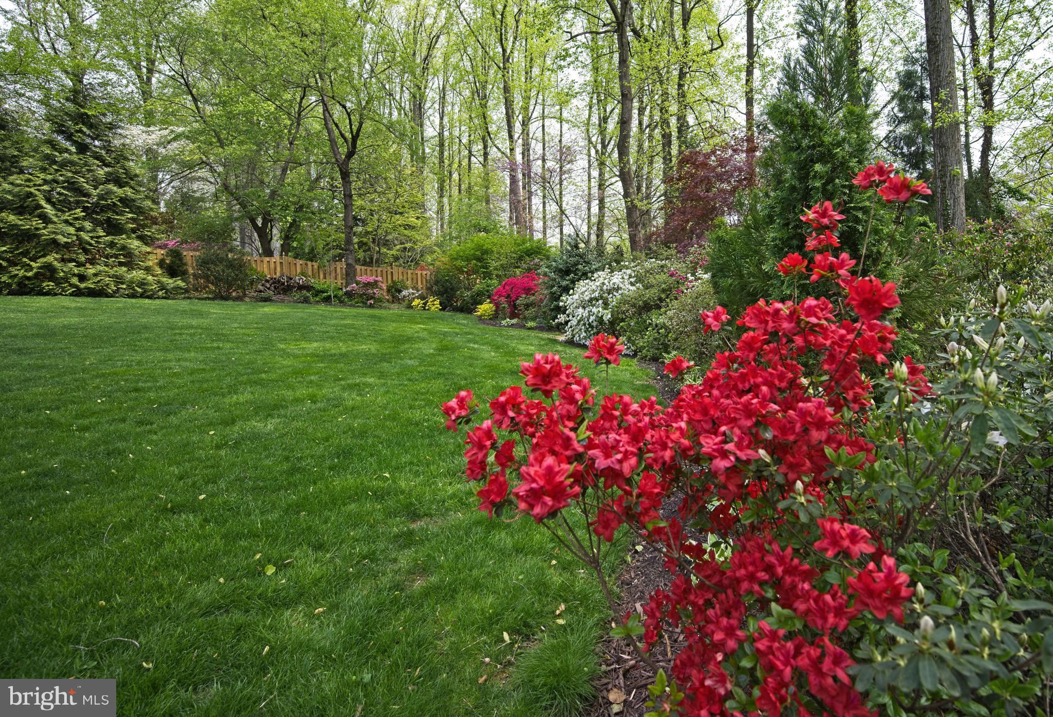 10405 Gary Road Potomac, MD 20854 - Photo 62 of 66