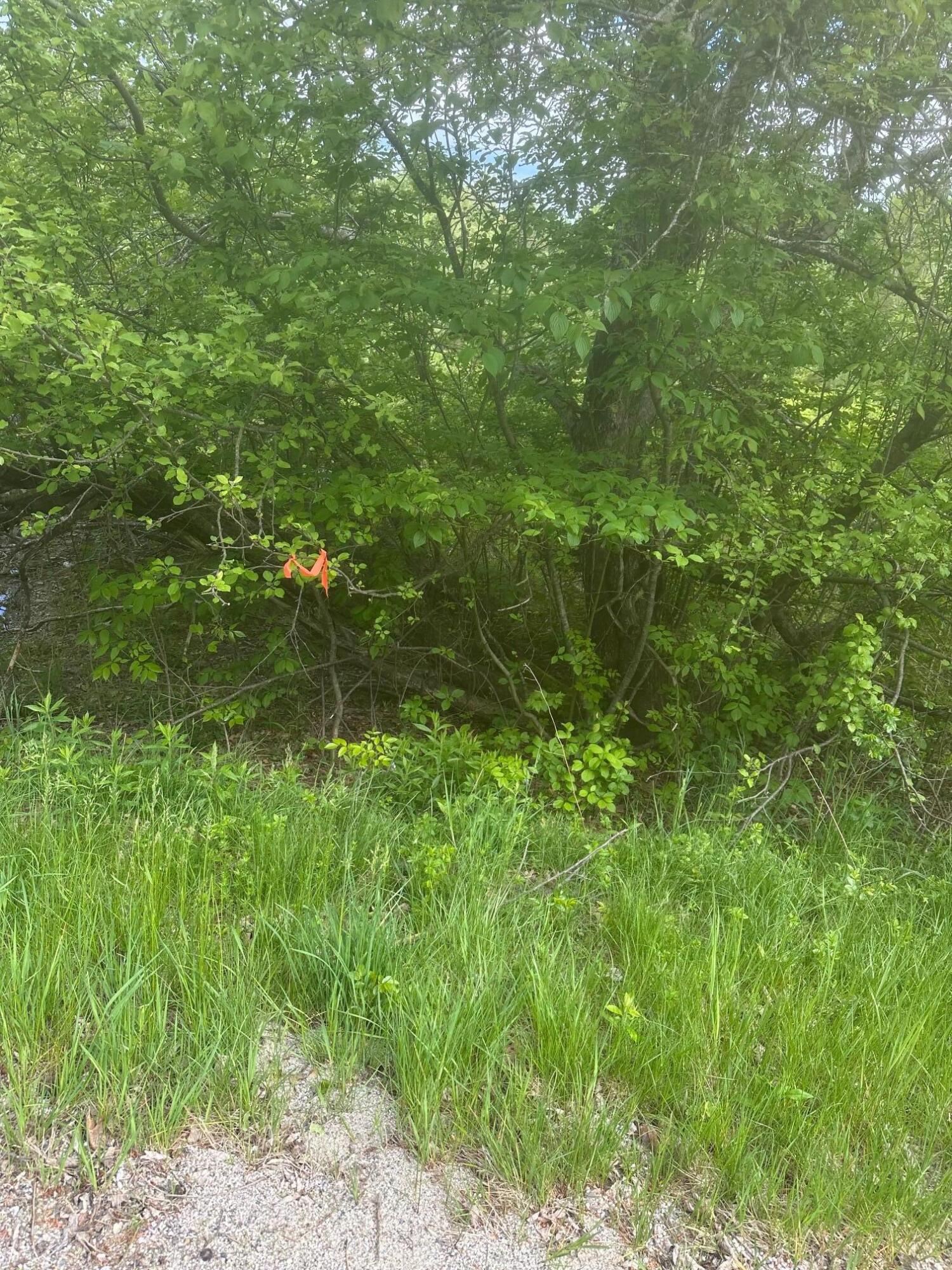 Lot 5 Unionville Road Steuben, ME 04680 - Photo 1 of 4 Lot 5
