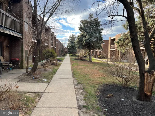 a view of a pathway with a yard