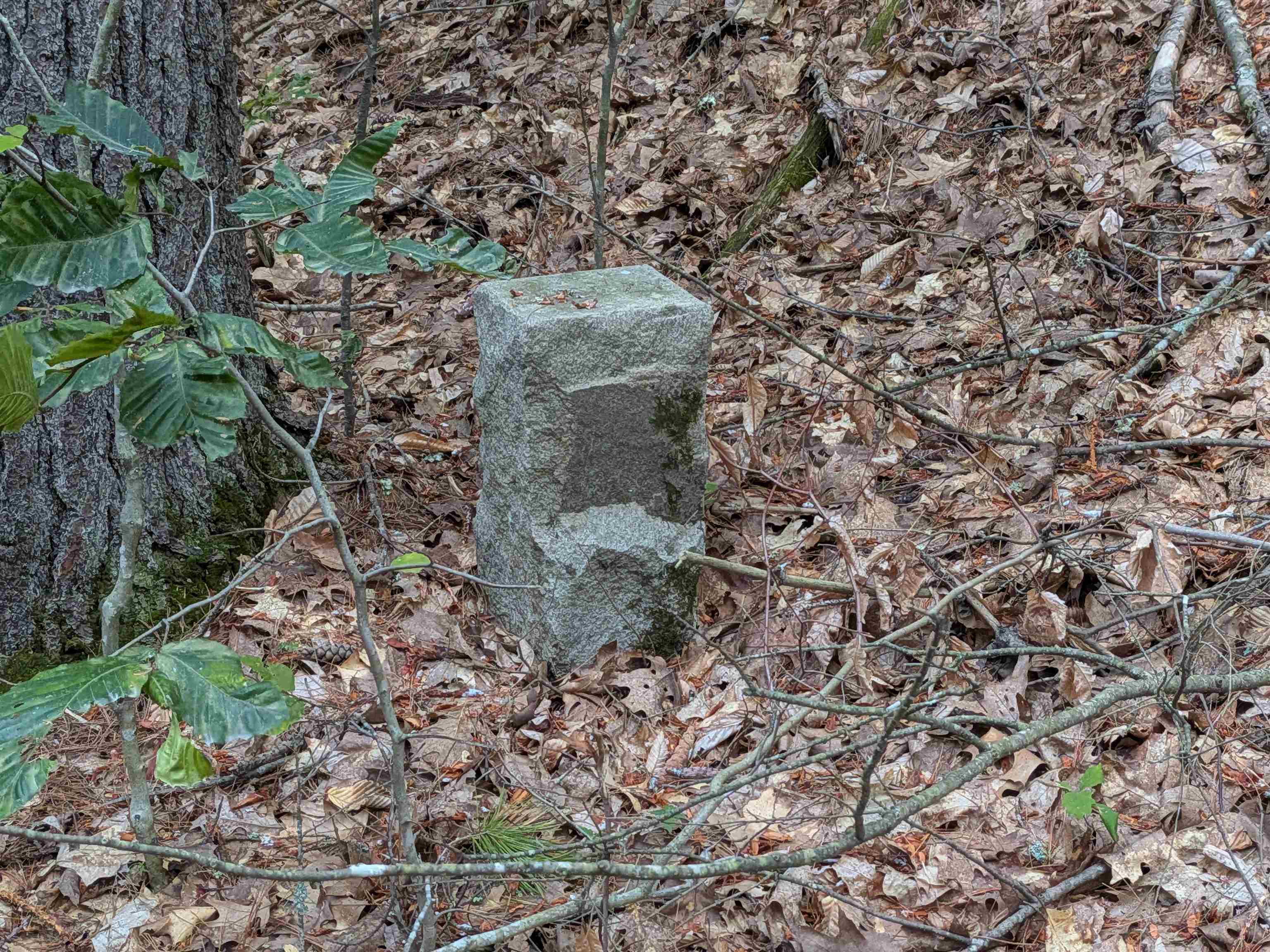 D46 Sand Hill Road Wilton, NH 03086 - Photo 5 of 12 Gallery Image 5