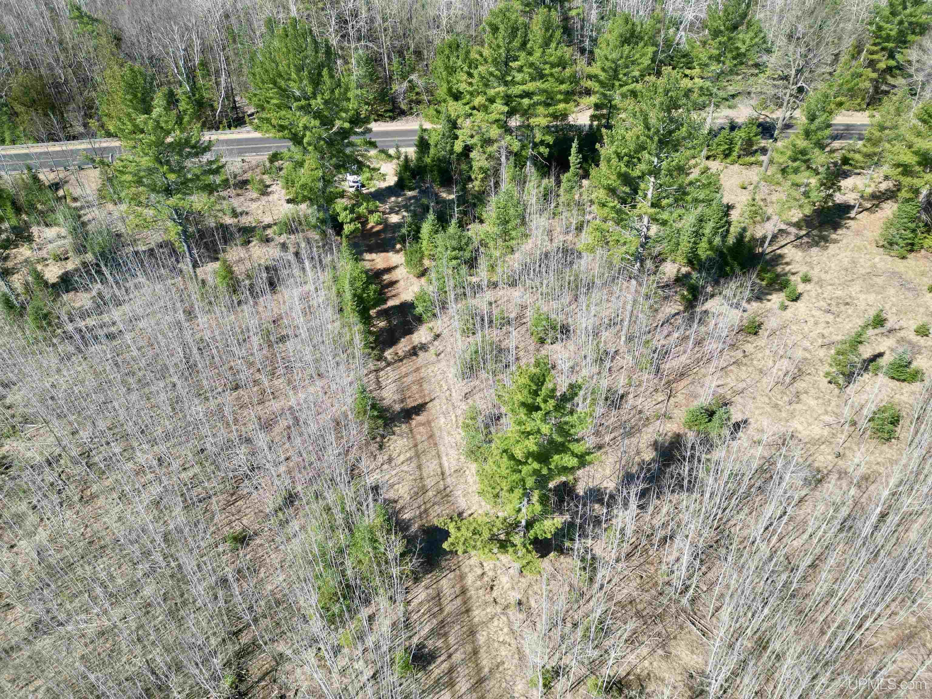 577 Rd Vulcan Mi 49892 Road Vulcan, MI 49892 - Photo 8 of 17
