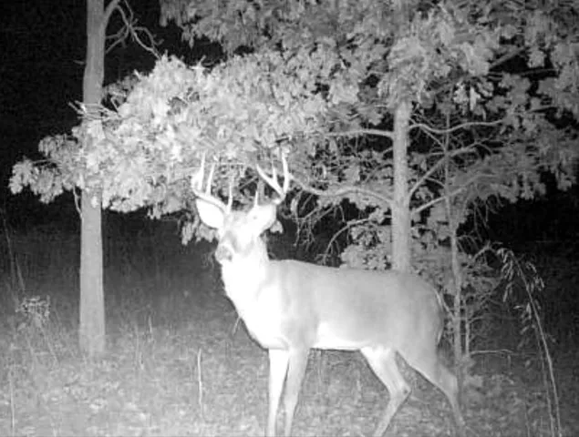 $284,914 | V/l North 12th Street, Plainwell, MI 49080