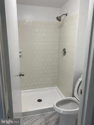 a bathroom with a shower and a toilet