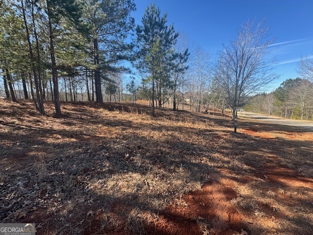 1541 Currahee Club Drive Toccoa, GA 30577 - Photo 6 of 8