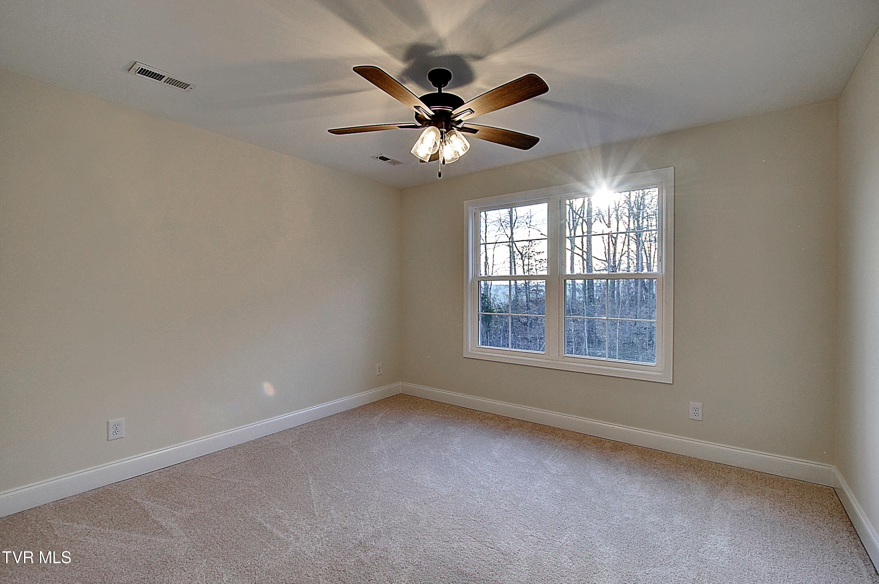 1136 Hawley Road Blountville, TN 37617 - Photo 28 of 39 40