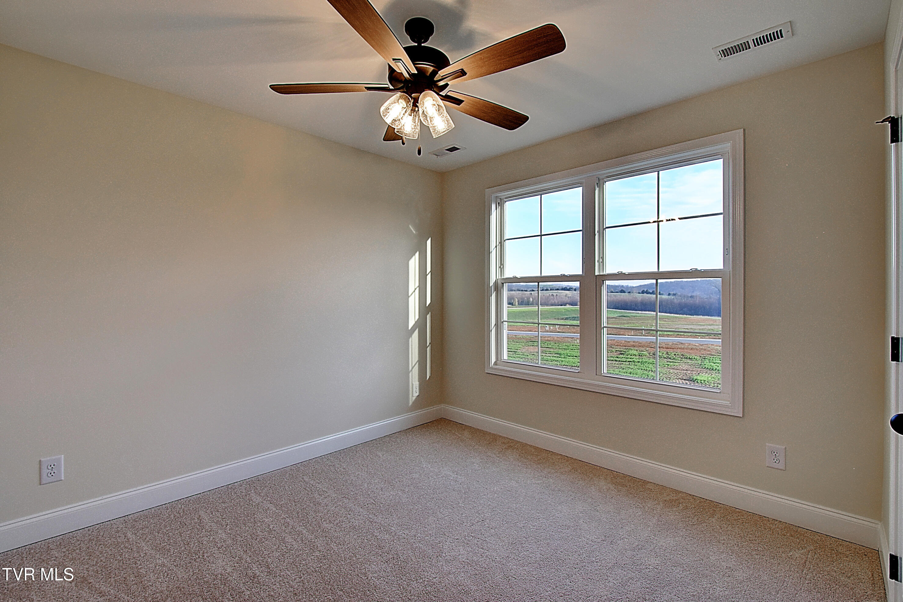 1136 Hawley Road Blountville, TN 37617 - Photo 30 of 39 42 (1)