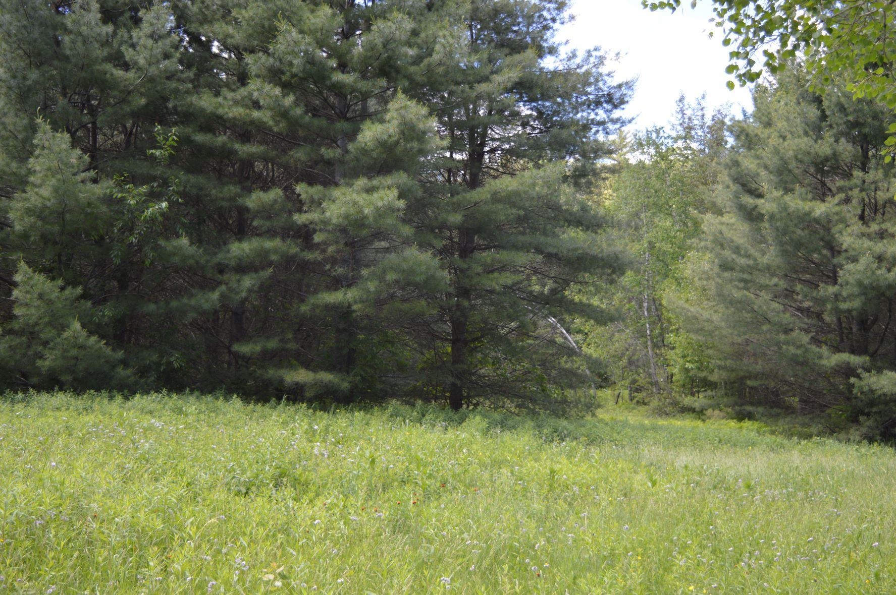 0 Pearl Lake Road Lisbon, NH 03585 - Photo 1 of 6