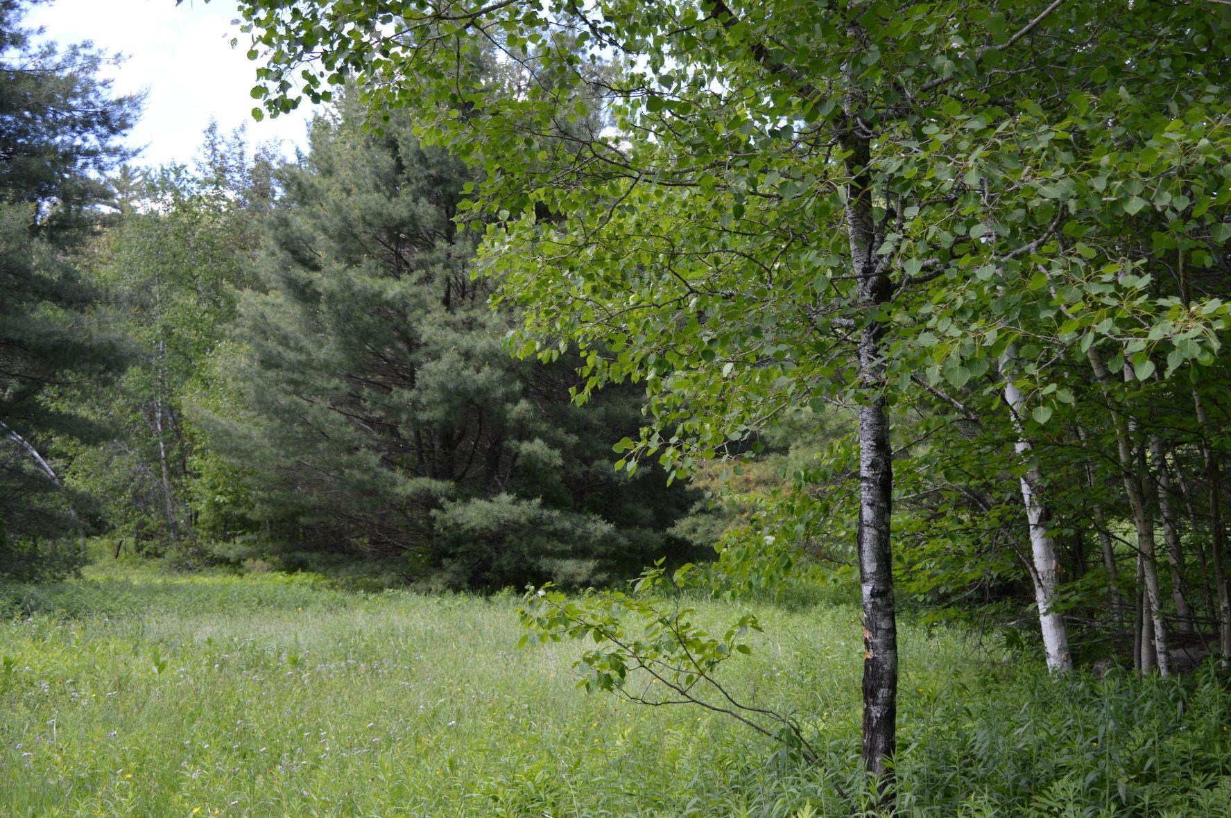 0 Pearl Lake Road Lisbon, NH 03585 - Photo 2 of 6