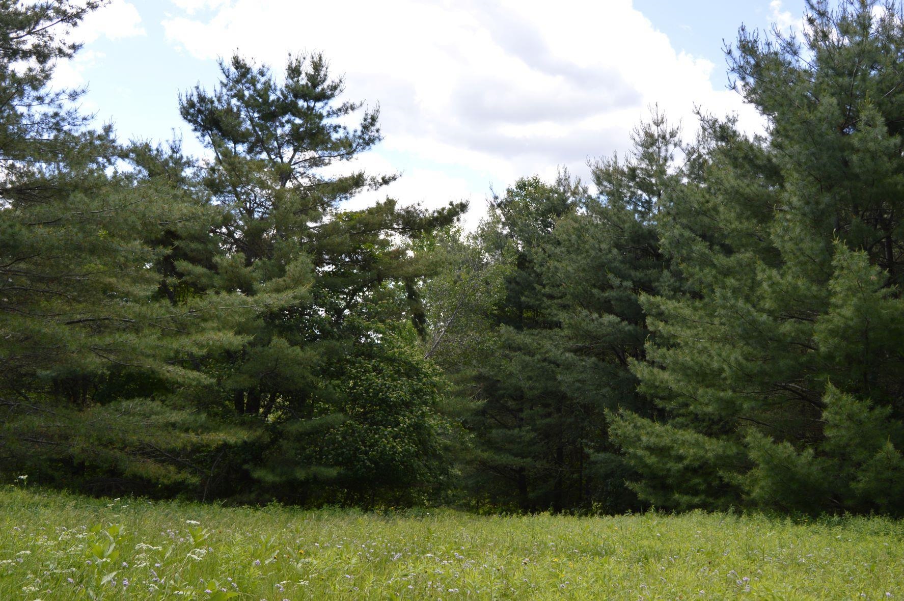 0 Pearl Lake Road Lisbon, NH 03585 - Photo 3 of 6