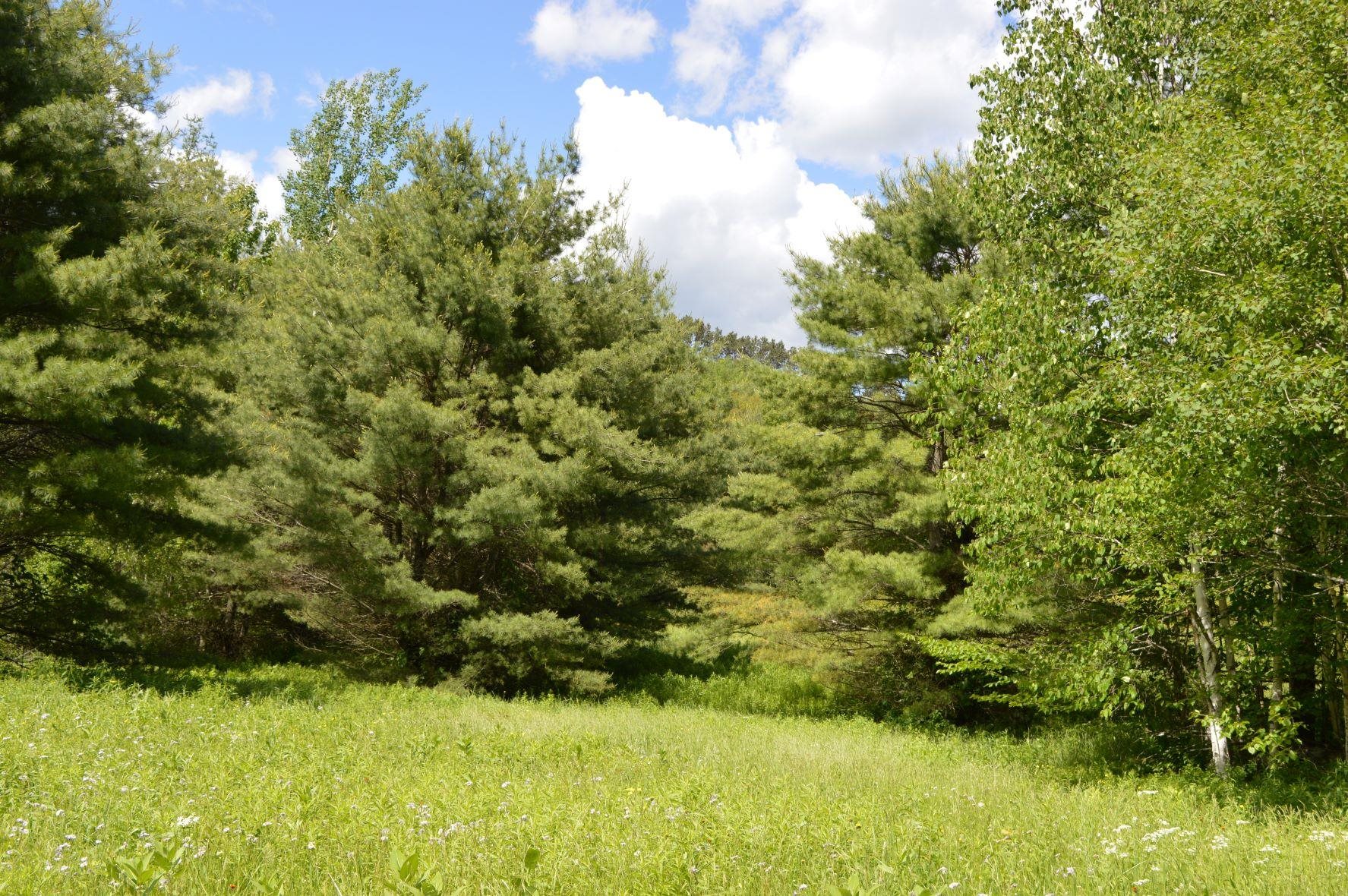 0 Pearl Lake Road Lisbon, NH 03585 - Photo 4 of 6