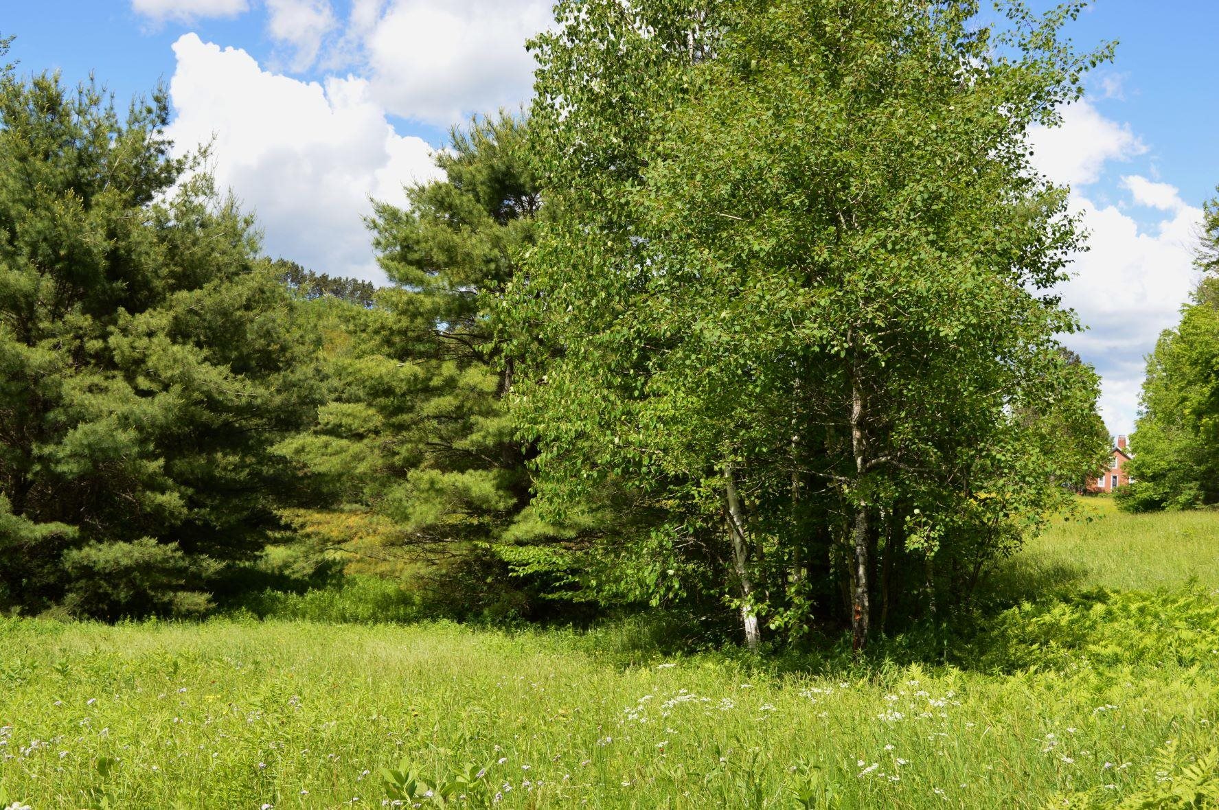0 Pearl Lake Road Lisbon, NH 03585 - Photo 5 of 6