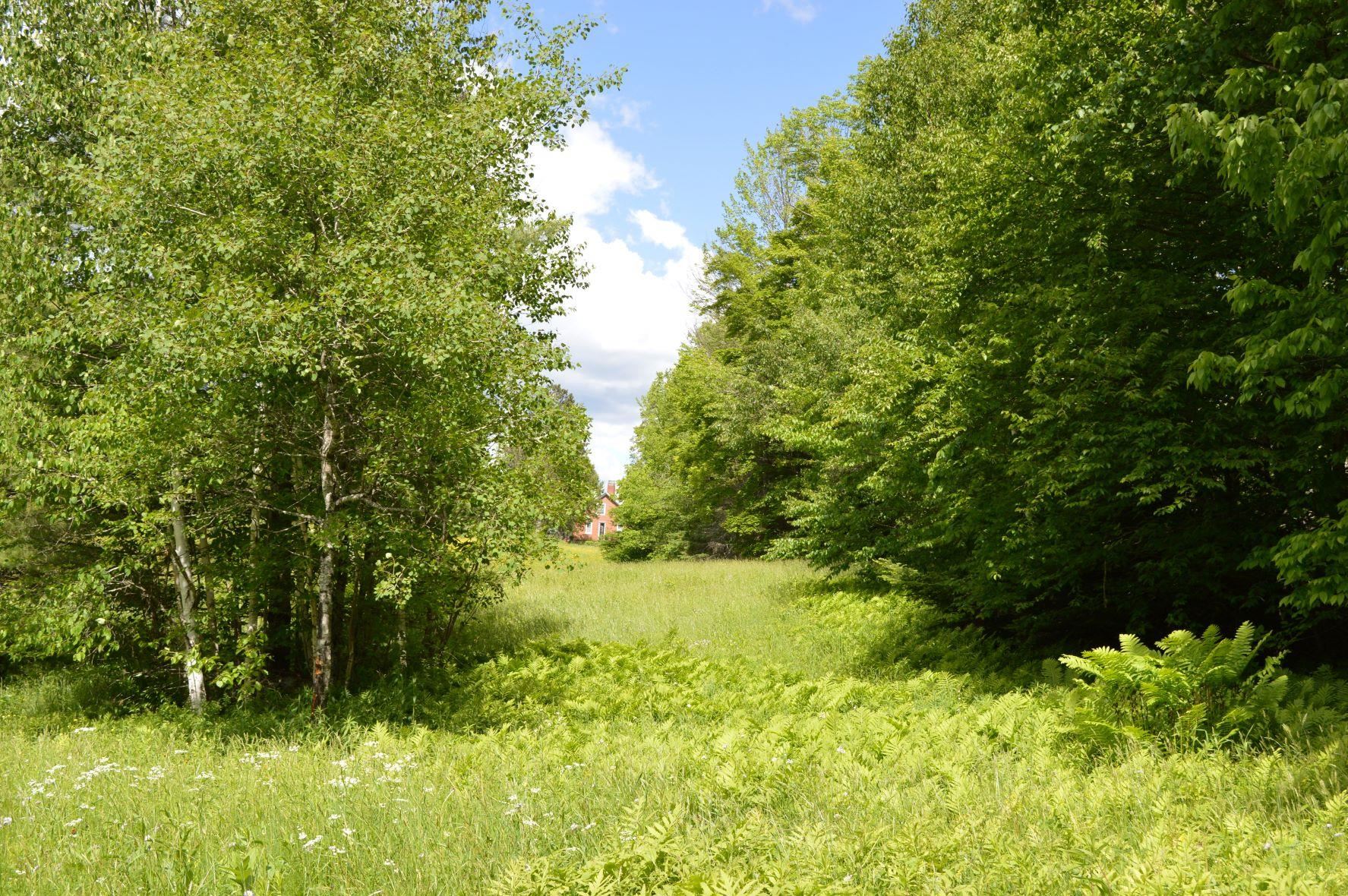 0 Pearl Lake Road Lisbon, NH 03585 - Photo 6 of 6