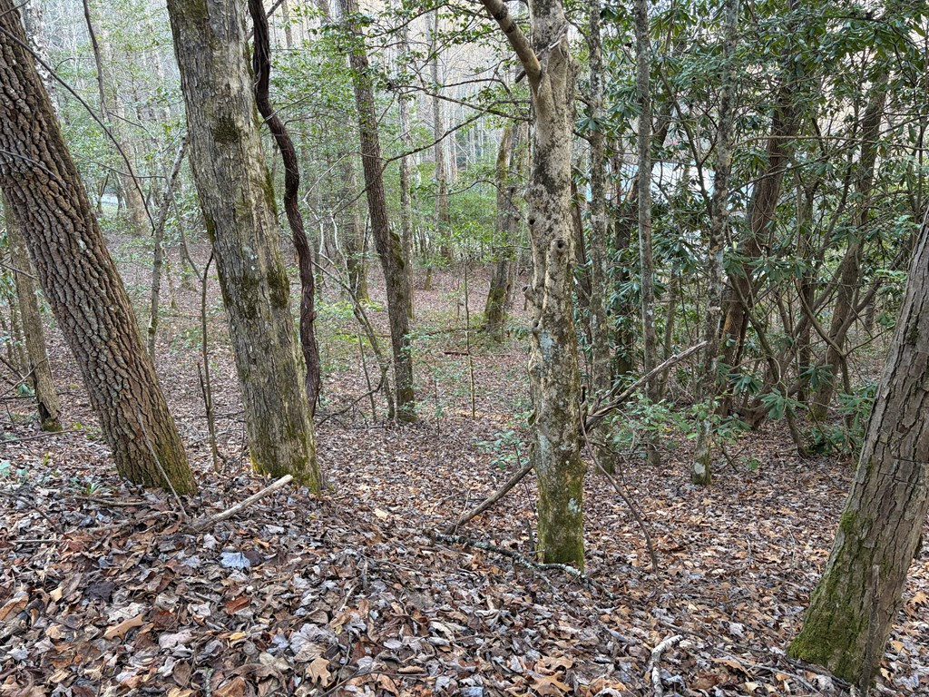 0 Old Faber Road Topton, NC 28781 - Photo 7 of 10