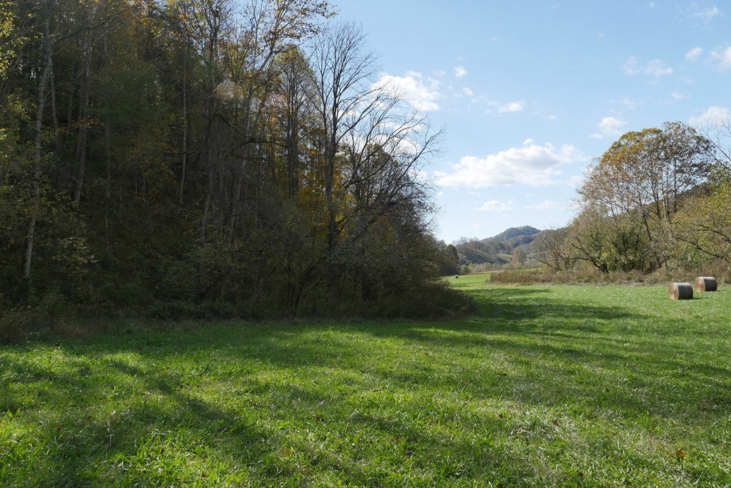 Tbd Fairview Road, Unit 1 Duffield, VA 24244 - Photo 16 of 63 Gallery Image 16